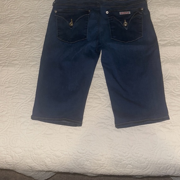 Hudson Viceroy Knee Shorts - Picture 2 of 8